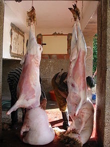 Sacrifice - aceasta (sacrificarea animalelor, uneori, oameni) Sacrificiului - aceasta