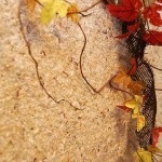 tapet lichid aplicat pe perete ca tencuiala Silk (lichid) tapet lichid aplicat pe perete ca tencuiala Silk