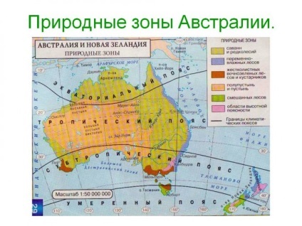 viața românească în Australia - recenzii, pro și contra (ultimele puncte ale acestuia din urmă) viața românească în Australia - recenzii, pro și contra