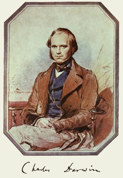 Charles Darwin biografie, informații, viața personală (Charles Darwin) Charles Darwin biografie, informații, viața personală