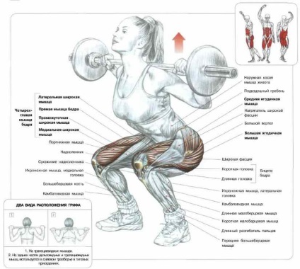 Ce poate înlocui îndreptările - viața mea sport (tracțiune) Ce poate înlocui îndreptările - viața mea sport