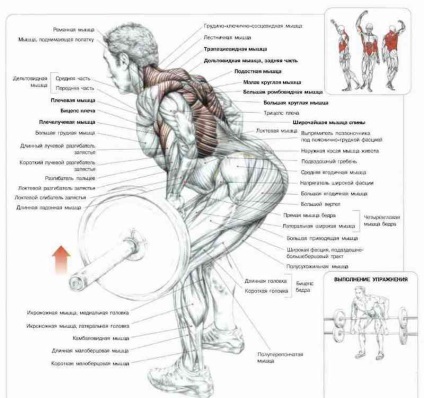 Ce poate înlocui îndreptările - viața mea de sport (sport) Ce poate înlocui îndreptările - viața mea sport