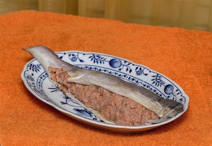 gorbuscha umplute (somon roz) somon umplute