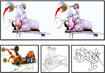 presa franceză (triceps musculare) presa franceză