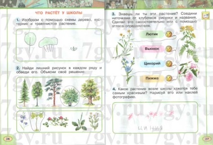 GDZ - lumea de gradul 1 (Tăiați imagini app) GDZ - lumea de gradul 1
