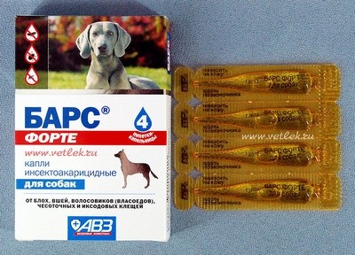 Cum și ce să aducă purici la câini metode eficiente de eliminare (câine) Cum și ce să aducă purici la câini metode eficiente de a scăpa