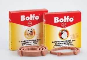 Cum și ce să aducă purici la câini metode eficiente de eliminare (a aduce) Cum și ce să aducă purici la câini metode eficiente de a scăpa