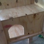 Cum celulele la iepuri cu pas mâinile lor cu instrucțiuni pas cu desene, dimensiuni și fotografii (în mărime) Cum celulele la iepuri cu pas mâinile lor cu instrucțiuni pas cu desene, dimensiuni și fotografii