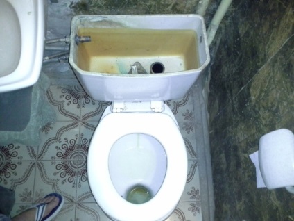 Scoaterea clădirii WC Monitorul (constructii) Scoaterea toaletă construirea Monitorul
