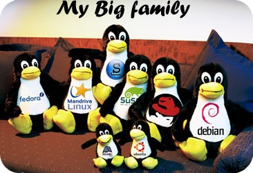 distributii Linux (Linux) distribuții Linux