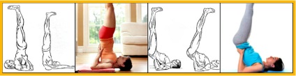 exercițiu de corp Rejuvenation mesteacăn (mesteacăn) corp exercitarea întinerire mesteacăn