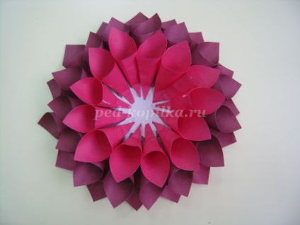 Panouri de hartie „dahlia“ (Dahlia) „Dahlia“ panouri realizate din hârtie