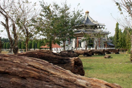 Trei Regate Park si poze haioase, asiasabai (Park) Trei Regate Park si poze haioase, asiasabai