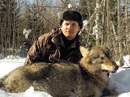 Cartuș Wolf - arma (Sandwich de ficat vechi) Cartuș Wolf - arma
