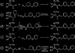 Permetrin, un director (un director) Permetrin, un director