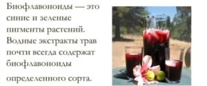 Beneficiile fructelor și legumelor pentru corpul uman (corpul) Beneficiile de fructe și legume pentru organismul uman
