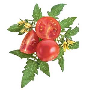 Tomate, beneficii și rău organismului, rămâne sănătos! (Consumul de alimente grase) Tomate, beneficii și rău organismului, rămâne sănătos!