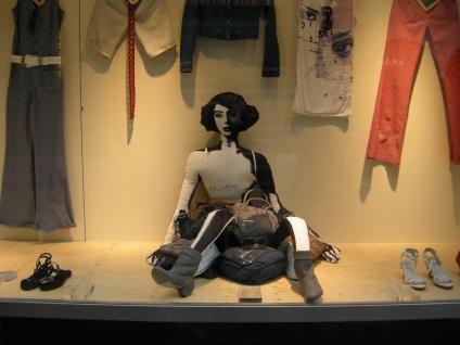 vitrine Reguli (înregistrare) vitrine Reguli