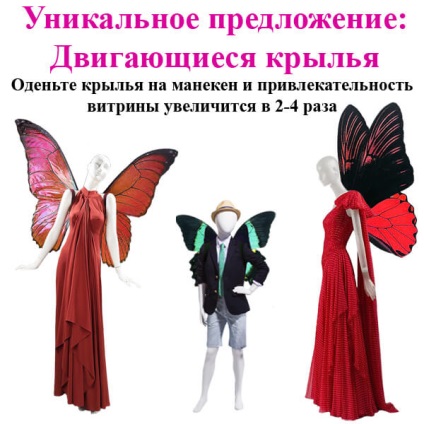 Reguli de înregistrare a ferestrelor (ferestre) vitrine Reguli