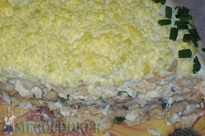Salata cu rosii si masline (retete salata gustoase cu fotografii) Salata cu rosii si masline