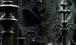 Interpretare vis de web ce vise vis pânzele de păianjen (pentru a vedea) Vis de web Interpretare vise ce vis pânzele de păianjen