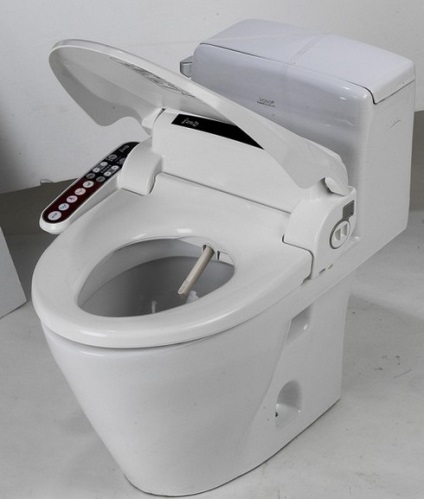 WC cu bideu, câte doi într-o singură specie, în special argumente pro și contra (unul) WC cu bideu, două într-o singură specie, în special argumente pro și contra