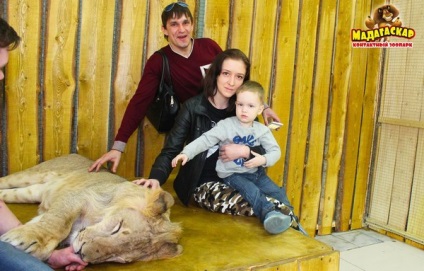 Uporotyh toate () uporotyh toate