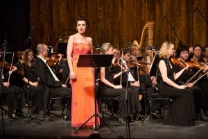 Tipuri de arii de operă (specii) Tipuri de arii din opere