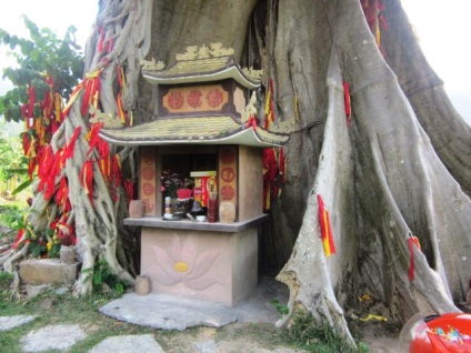 Rezerva, cascadă și Hot Springs Yang Bay din Nha Trang (Vietnam) fotografii, harta și video (Yang Bey Park) Rezerva, cascadă și Hot Springs Yang Bay din Nha Trang (Vietnam) fotografii, harta si video