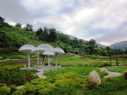 Rezerva, cascadă și Hot Springs Yang Bay din Nha Trang (Vietnam) fotografii, harta si video (cascada) Rezerva, cascadă și Hot Springs Yang Bay din Nha Trang (Vietnam) fotografii, harta si video