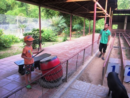 Rezerva, cascadă și Hot Springs Yang Bay din Nha Trang (Vietnam) fotografii, harta și video (Yang Bay Nha Trang) Rezerva, cascadă și Hot Springs Yang Bay din Nha Trang (Vietnam) fotografii, harta si video