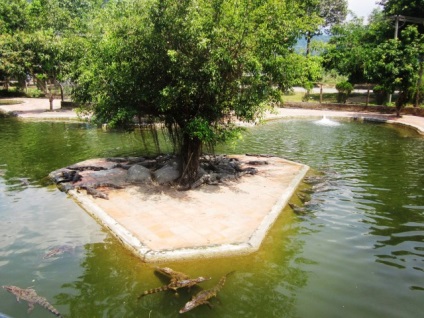Rezerva, cascadă și Hot Springs Yang Bay din Nha Trang (Vietnam) fotografii, harta si video (la cald) Rezerva, cascadă și Hot Springs Yang Bay din Nha Trang (Vietnam) fotografii, harta si video