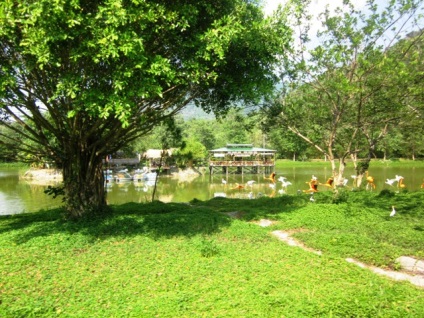 Rezerva, cascadă și Hot Springs Yang Bay din Nha Trang (Vietnam) fotografii, harta si video (la cald) Rezerva, cascadă și Hot Springs Yang Bay din Nha Trang (Vietnam) fotografii, harta si video