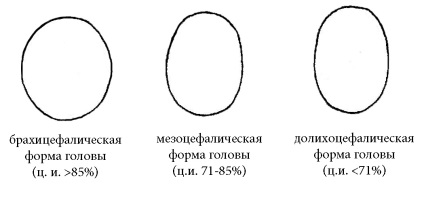 index cefalic (indicele cefalic) indicele cefalic