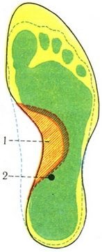 Centrul de greutate al corpului uman, miologie, anatomia umană (centru) Centrul de greutate al corpului uman, miologie, anatomia umană