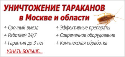 Gândacii otravă într-o listă fixă ​​de cele mai bune mijloace decât cea utilizată de către profesioniști