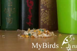 Ce se întâmplă dacă papagalul vrea roadere apartamentul tau - Enciclopedia de păsări proprietarului (papagal papagali gri african Amazoane Amazon papagalii ondulat Lovebird macaw cacadu hrănire reproducere formare vânzare cumpărare îmblânzirea tratament Senegal ozherelovye Kramer Red-burohvosty) Ce se întâmplă dacă papagalul vrea roadere apartamentul tau - Enciclopedia de pasăre proprietar