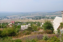Că fazani mânca (mânca) Că fazani mănâncă