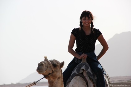 Ce este Dahab și ce mănâncă, o revizuire a turistului afrosnegka privind (turist) Ce este Dahab și ce mănâncă, feedback-ul de la turisti pe afrosnegka