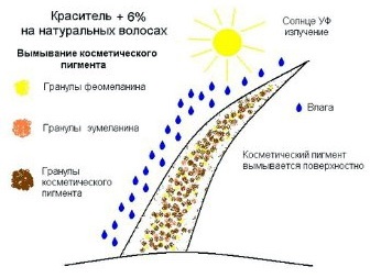 proces oxidant colorare de acțiune la sută (comburant) Acțiunea procesului de colorare oxidant procente