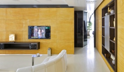 living de design camera în culoarea wenge (wenge) living de proiectare cameră în wenge culoare