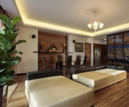 living de design camera în culoarea wenge (stiluri de viață italian) living de proiectare cameră în wenge culoare