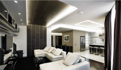 living de design camera în culoarea wenge (stiluri de viață italian) living de proiectare cameră în wenge culoare