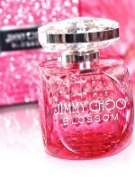 Parfum Christina Aguilera (Christina spirite de copac) Parfum Christina Aguilera