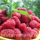 Clatite umplute cu carne de pui și ciuperci într-un sos cremos, retete delicioase (clatite cu julienne) Clatite umplute cu carne de pui și ciuperci într-un sos cremos, retete delicioase