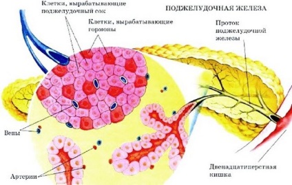 Insuficiența Enzymatic (insuficiența pancreatică) deficit de enzime