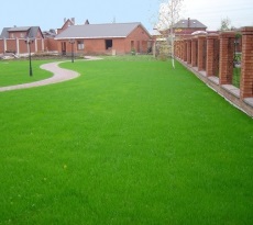 Lawn cu propriile sale mâini în țară - modul de a face (cu fotografii) (arme) Lawn cu propriile sale mâini în țară - modul de a face (cu fotografii)