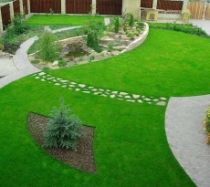Lawn cu propriile sale mâini în țară - modul de a face (cu fotografii) (arme) Lawn cu propriile sale mâini în țară - modul de a face (cu fotografii)