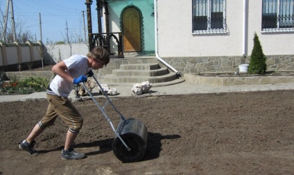 Lawn cu propriile sale mâini în țară - modul de a face (cu fotografii) (lor) Lawn cu propriile sale mâini în țară - modul de a face (cu fotografii)