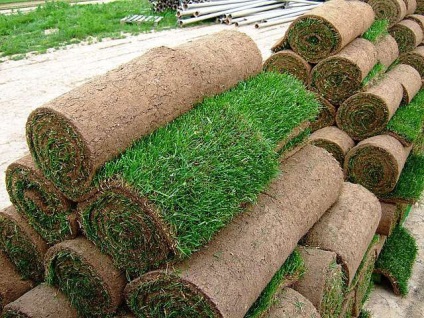 Lawn cu propriile sale mâini în țară - modul de a face (cu fotografii) (Dacha) Lawn cu propriile sale mâini în țară - modul de a face (cu fotografii)